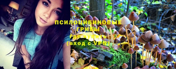 метамфетамин Алексеевка