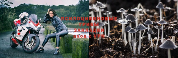 эйфоретик Алзамай