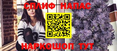 молекула духа Ставрополь
