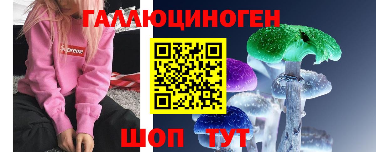 Галлюциногенные грибы Psilocybine cubensis  купить   Осинники  Вход с VPN 